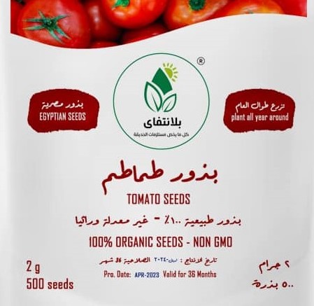 معروض للبيع بذور طماطم عالية الجودة