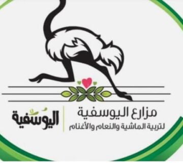 مزارع اليوسفية لتربية النعام والإنتاج الحيواني