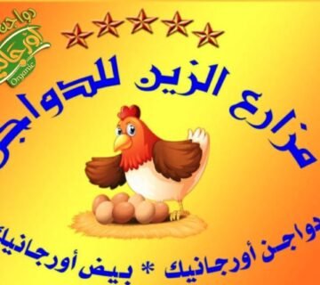 مزارع الزين للدواجن الاورجانيك والبيض الاورجانيك