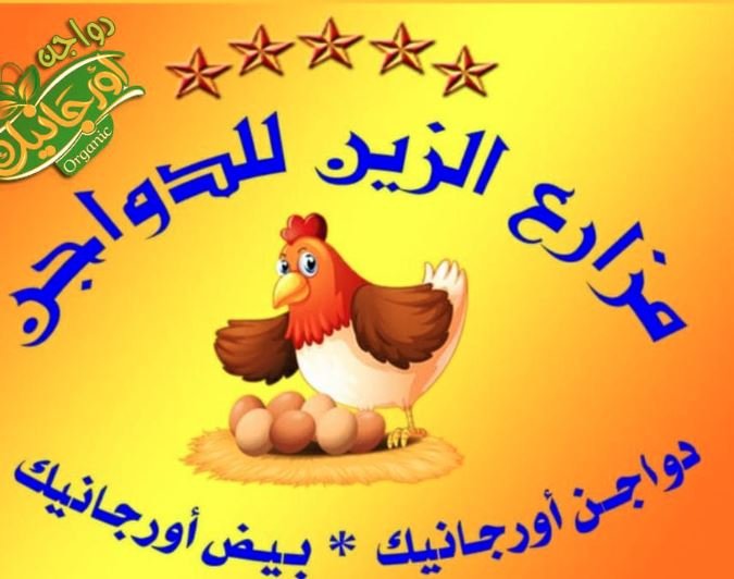 مزارع الزين للدواجن الاورجانيك والبيض الاورجانيك