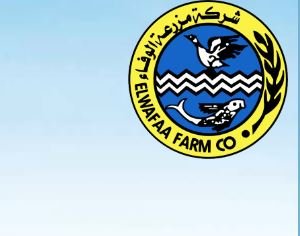 شركة مزرعة الوفاء