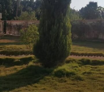معروض للبيع مزرعة 12 فدان في طريق طنبول