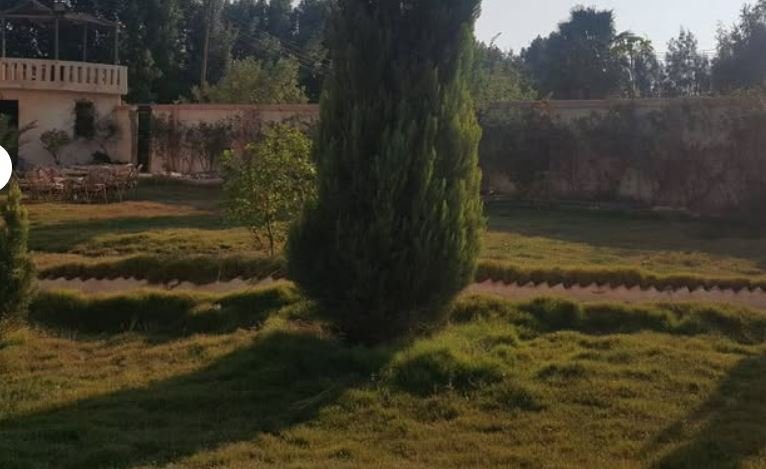 معروض للبيع مزرعة 12 فدان في طريق طنبول