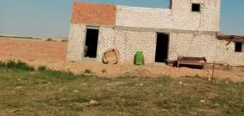 ٤٥ فدان مزروعة محاصيل