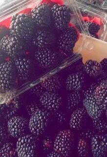 معروض للبيع توت بلاك بيري