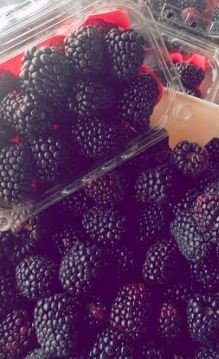 معروض للبيع توت بلاك بيري