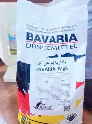 باڤاريا إم جى إس٣٣٪