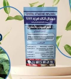 جينرال أتاك MZ