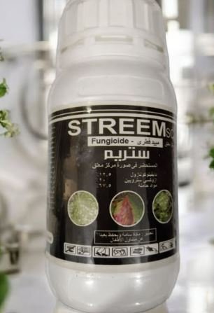 ستريم