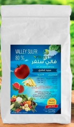 فالى سلفر