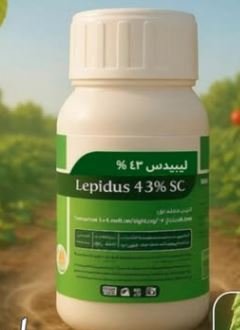 ليبيدس