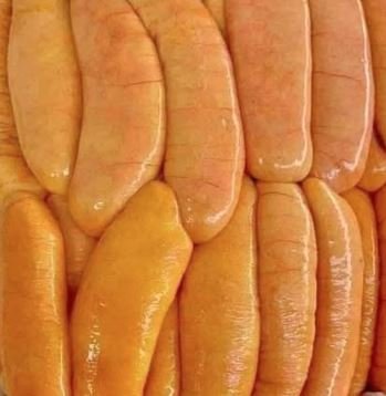 بيع بطارخ فريش