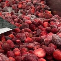 بيع فراوله درجه اولى محلل وعشوائ