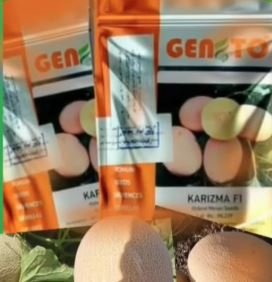 بذور شمام أناناس كاريزما