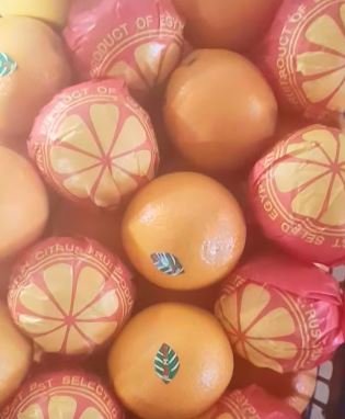 برتقال صيفي