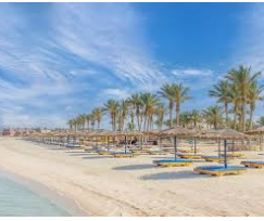 بيتش بار فندق