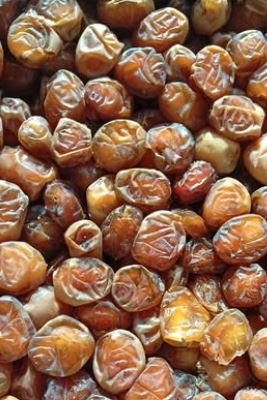 بيع بلح برحي رطب سعود