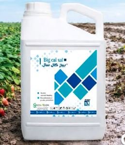 بيع بيج كال سال