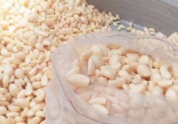 ثوم بلدي مقشر