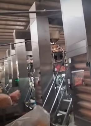 خط تعبئة حبيبات اوتوماتيك