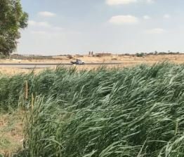 مزرعة 5 فدان مزروعين خضروات