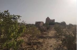 مزرعه 2 فدان مسجله