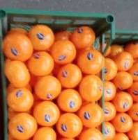 برتقال ماركت اسباني