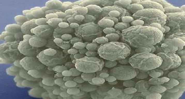 علماء يبتكرون أول بكتيريا اصطناعية بالكامل