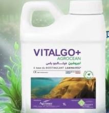 فيتالجو بلس