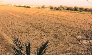 معروض للبيع 10 فدان قطعه وحده تروي تنقيط