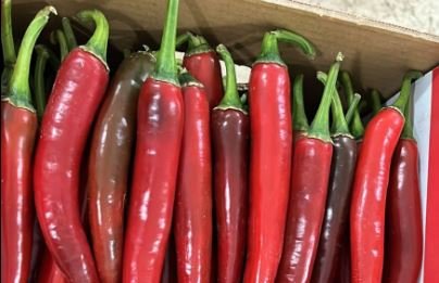 افضل انواع الفلفل الطازج