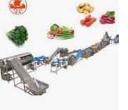 خط تعبئة وتغليف الخضروات والفاكهة المجمدة