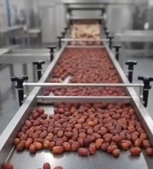 خط غسيل وتشميع الفواكه والبلح