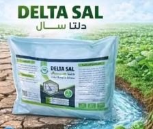 دلتا سال 1