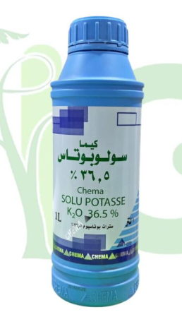 كيما سولوبوتاس
